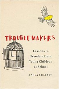 cover of troublemakers book